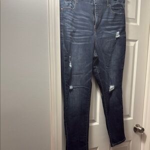 Terra & Sky Blue Skinny Jeans with Distressed Details